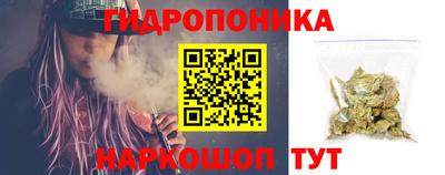 амф Можга